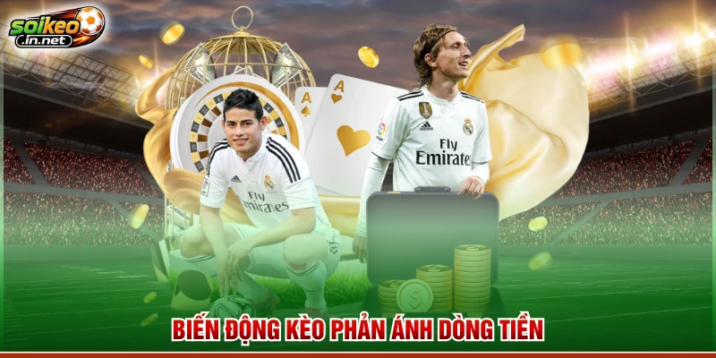 Biến động kèo phản ánh dòng tiền
