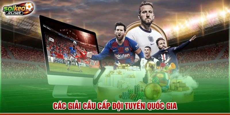 Các giải cầu cấp đội tuyển quốc gia 