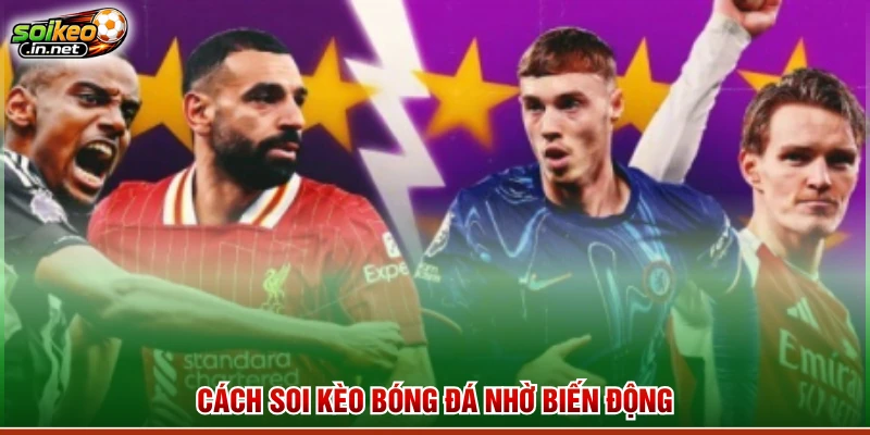 Cách soi kèo bóng đá nhờ biến động