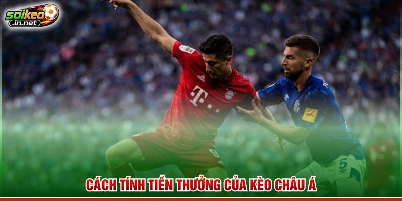 Cách tính tiền thưởng của kèo châu Á