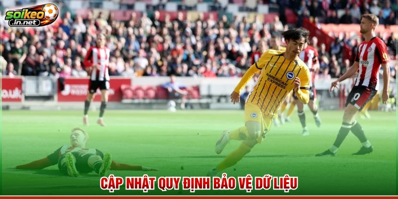 Cập nhật quy định bảo vệ dữ liệu