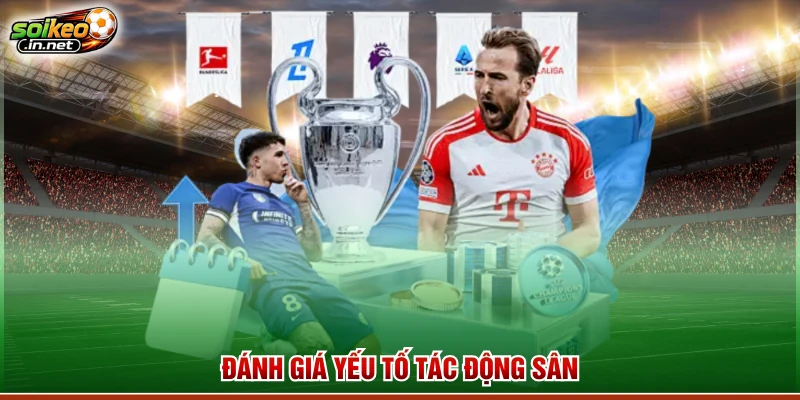 Đánh giá yếu tố tác động sân