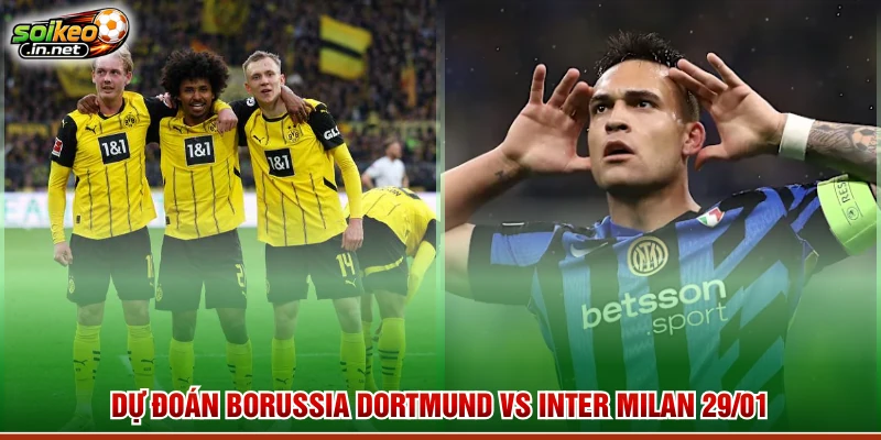 Dự đoán Borussia Dortmund vs Inter Milan 29/01