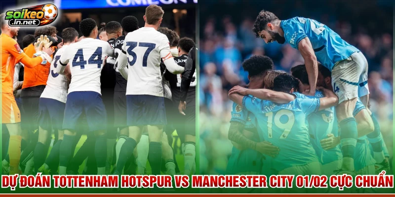 Dự Đoán Tottenham Hotspur Vs Manchester City 01/02 Cực Chuẩn