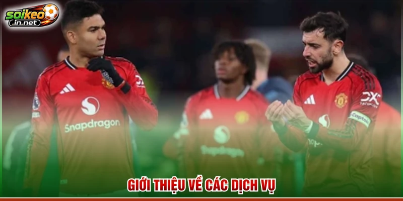 Giới thiệu về các dịch vụ