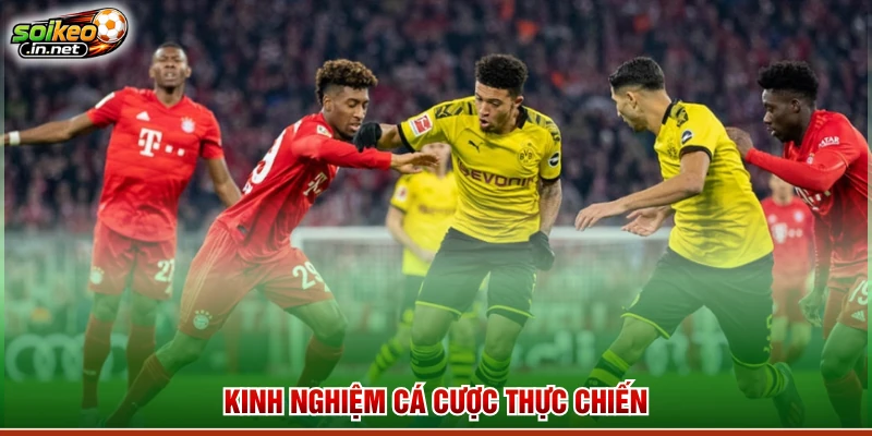 Kinh nghiệm cá cược thực chiến