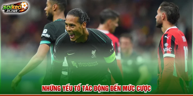 Những yếu tố tác động đến mức cược