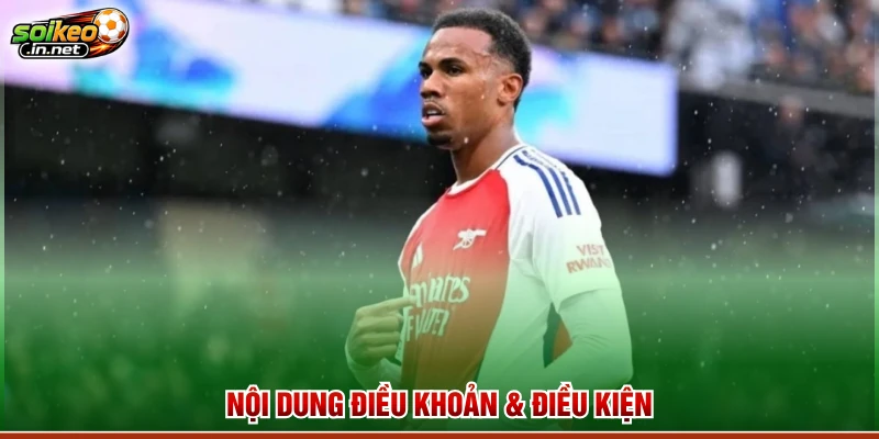 Nội dung điều khoản & điều kiện