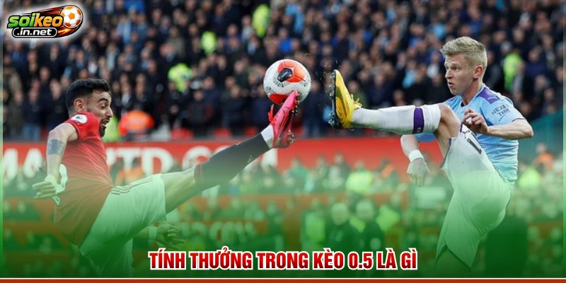 Khám phá các biến thể phổ biến